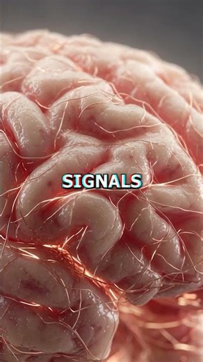 How Misfolded Proteins Turn Brains Into Sponge #horror #science
