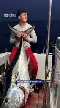 Aussie Brothers Catch Massive 107kg Bluefin Tuna | 10 News
