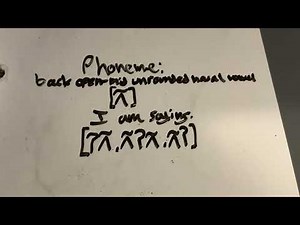 [ʌ̃] back open-mid unrounded nasal vowel