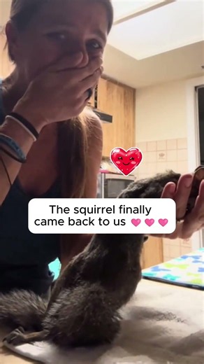 This girl found a dying squirrel on the road, then something amazing happened. 🥹