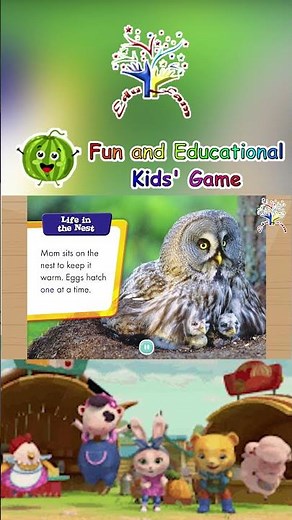 🦉🌙 Baby Owls! | Meet the Fluffy Owlets! | Animal Safari 🌲✨