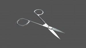 Scissors stainless steel opened - Buy Royalty Free 3D model by HQ3DMOD (@AivisAstics)