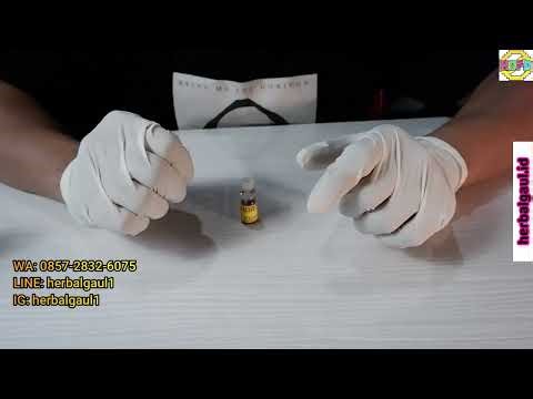 Cara Pakai GAMBIR SIAM Untuk Tahan Lama Yang Benar