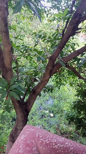 So cold today! | POV Living Code