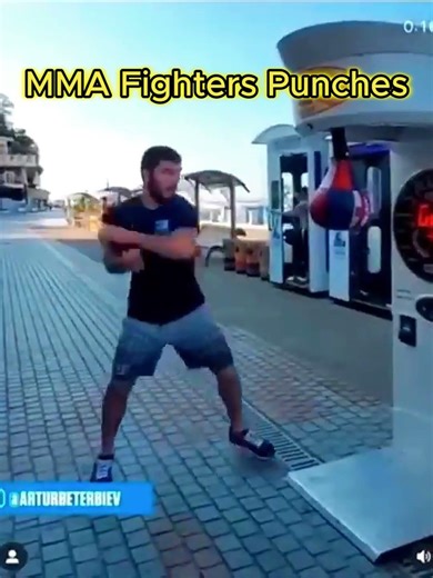 MMA Fighters VS Don Lee | Punching Machine