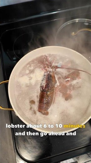 Lobster Rolls #recipe #cooking #lobsterrolls #lobster #lobstertails #lobsterroll
