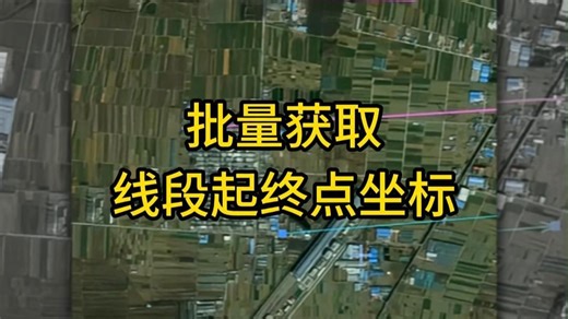 这样批量获取线段起终点坐标超简单