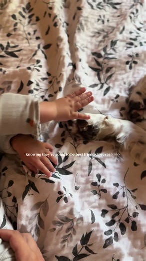 Nurturing Lifelong Friendships in Early Childhood