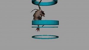 Parasite Queen Falling animation