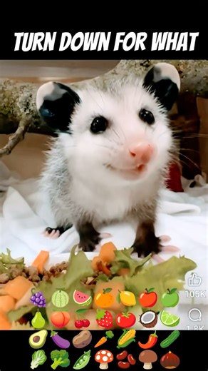 "Turn Down For What" #DJ Snake #Lil Jon