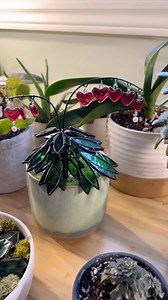 810K views · 25K reactions | Can you imagine a more perfect song to go with this plant?? | Sand and Fire Works | Facebook