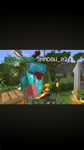 speedsilver insane 1 vs 5