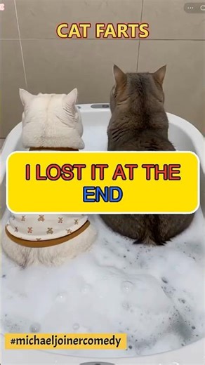 Hilarious Cat Fart Moment: Bathtub Antics Gone Wild 😹🛁