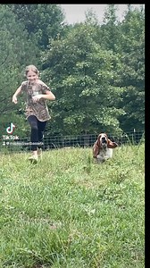 Slow motion bassets are the best! | Maple Street Bassets