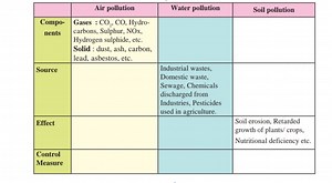 Pollution Types, Components, Sources, Effects, and Control Meas... | Filo