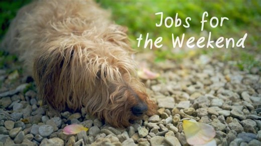 BBC Gardeners World on Reels