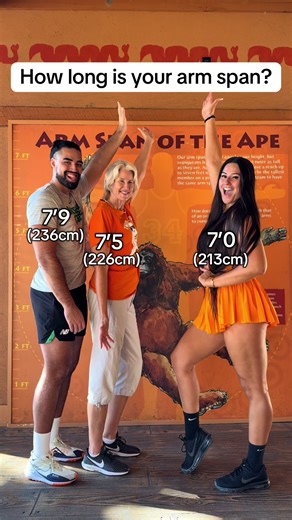 How long is your arm span?🐒 @Tall Team Temara #tall #Family #Height #Zoo #wingspan