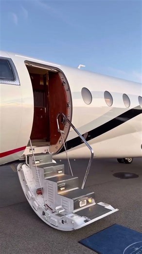 Private Jet And The View Privatejet #aviation #viral #foryou #privatejet