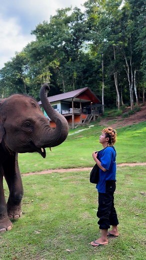 #thankyou | Bank Mahout