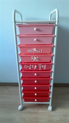 Colorful and Unique Storage Find from Temu