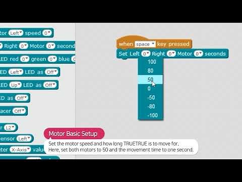 TRUETRUE Tutorial | Scratch (basic code)
