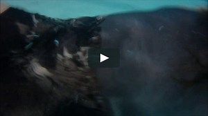 Swimming with contrasts