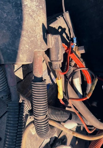 Express Lauzon on TikTok