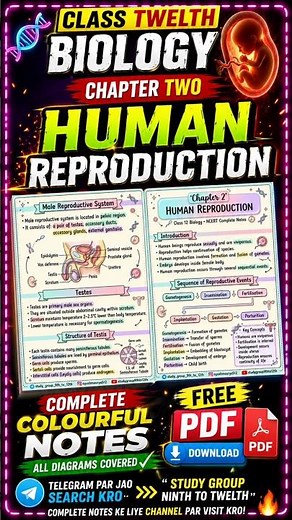 Class 12 Biology Chapter 2 Notes | Human Reproduction | Free PDF | #cbseboard #shorts #viral