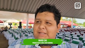 15K views · 111 reactions | COSECHA MECANIZADA VENDRÍA A SOLUCIONAR...