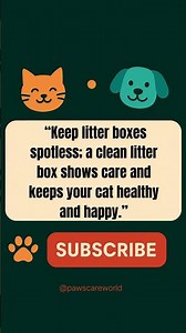 Why a Clean Litter Box Matters for Cats #shorts