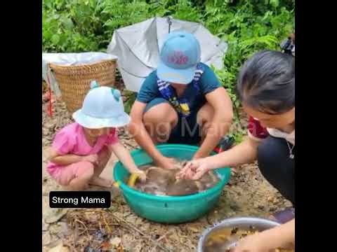 Flood Season Fish Trapping Techniques for Beginners
