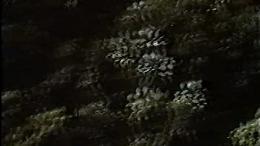 [WwW.VoirFilms.co]-Tarzan (Ron Ely) (1966).S02.E16.www