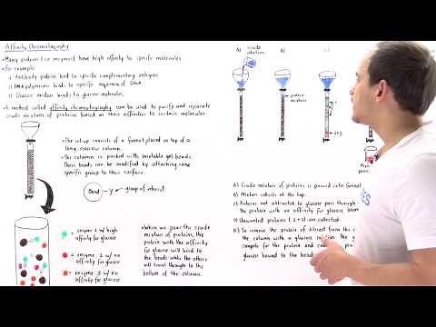 Affinity Chromatography