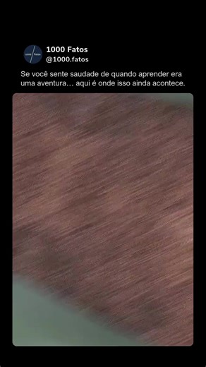 1000 Fatos | Curiosidades on Instagram: "Ele não morde a presa… ele atira 🐟💦 O peixe-arqueiro é famoso por sua habilidade incrível de derrubar insetos fora da água usando jatos de água disparados com extrema precisão. Ajustando o ângulo da boca e a força do disparo, ele compensa até a refração da luz na superfície, acertando alvos a metros de distância. Um verdadeiro atirador da natureza, que prova como a evolução pode criar estratégias surpreendentes para sobreviver. Você sabia que um peixe p