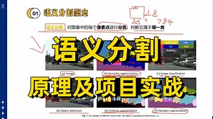 我居然20分钟学懂了语义分割入门到实战！