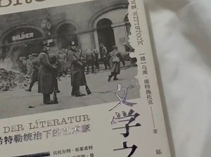 当口号落地成为现实，1933年，诗的意志溃败于狂热