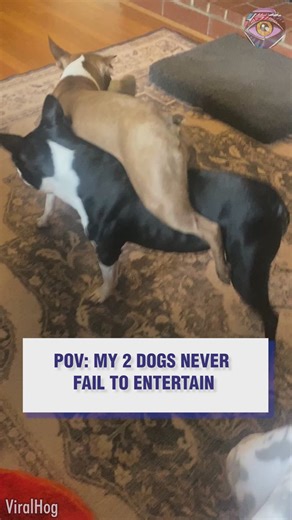 66K views · 222 reactions | There's always that one smartypants sibling | Bright Side | Facebook