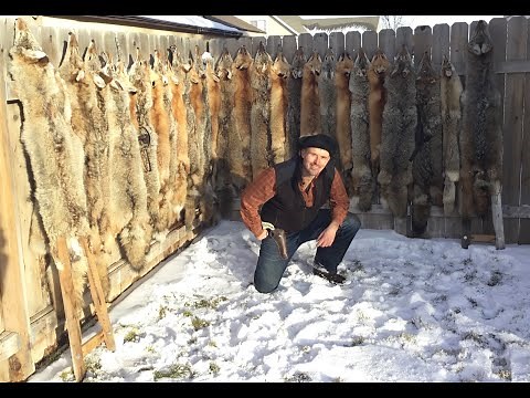 Basic modifications for long spring traps