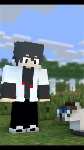Kucing Minecraft: Jantan atau Betina?
