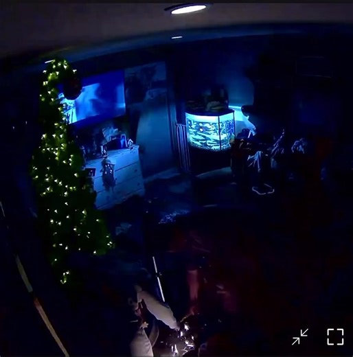 So my wife just literally tried to kill me I think its cause i sent her a picture of a single seater race chassis i wanna buy but Wife.. hey I’m on the phone with shark and they want you to cut the cord so they can send me the replacement Me..ok..so I go get cutters as I go to cut it and it explodes Her..ooo sorry I forgot to unplug it 🤦🏼‍♂️ Me..like seriously are you trying to kill me Thank god for breakers kicking lol | Gary Nash