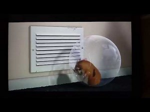 Bolt Movie Clip: Rhino the Hamster Talking Into the Vent / I AM BEAWESOME! 😂 (Random)