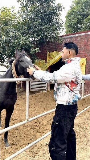 Na Dhela Kade Vaarya Ea Nachdi Rakaan Te #newpunjabisong2026 #horse #punjabimusic #horsepower #