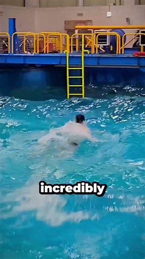 This Wave Pool Is Brutal