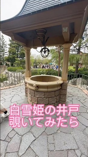 白雪姫の井戸を覗いてみたら 東京ディズニーランド 願いが叶う井戸 #shorts