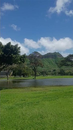 Oahu Hawaii. Waikiki concert area