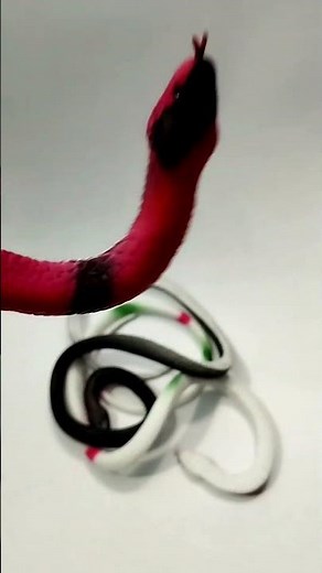 Best Rubber Snake Toys for Pranks #shortsfeed #shorts #prank #viral