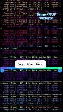 How to hack web application using fuzz tool #termux #learning #ethicalhacking #termuxcommands