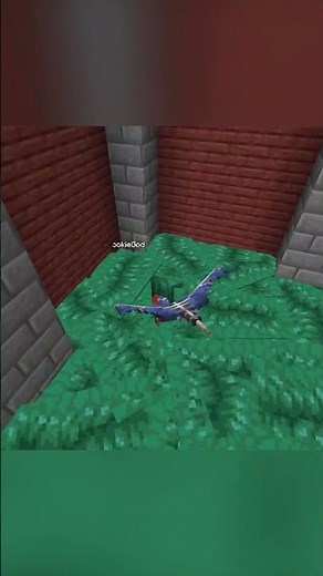 Cookie Gets Protected By Minecraft Sniffers