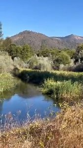 While exploring Applegate Valley’s wine country, follow Williams Highway to Provolt Recreation Site along the Applegate River. What was once a seed orchard is now a unique place to discover Oregon’s heritage! Whether hiking, biking or horseback riding along the trails or paddling along the river, this old seed orchard tells the story of Oregon’s timber history and offers the perfect place to enjoy wildlife and gorgeous views of the valley. Visit here Thursday-Sunday 14171 Williams Highway, 15 mi