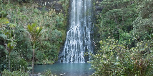Coast & Rainforest walking day tour
